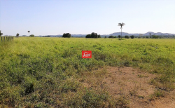 Fazenda em Cumaru PA área 22.000 ha dupla aptidão